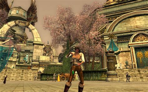 lotro cloak essence|how to use essences lotro.